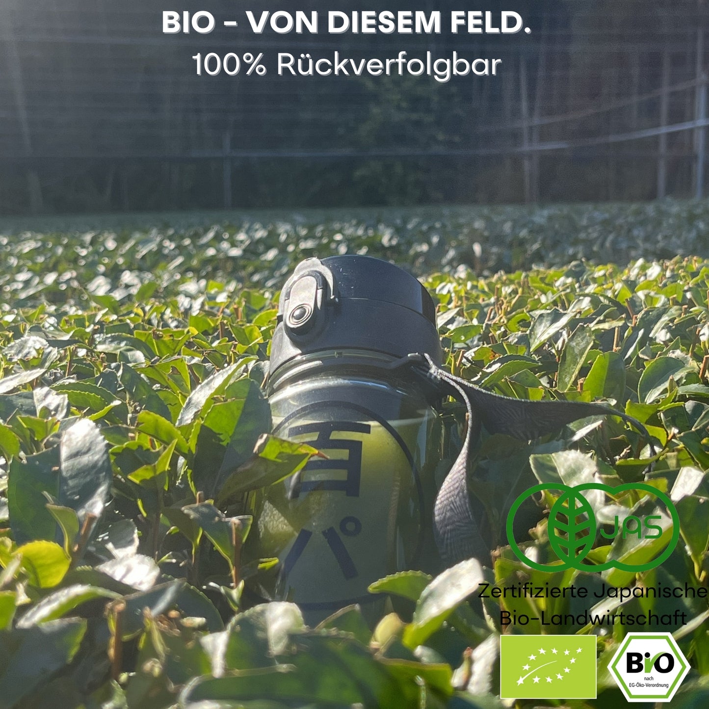 HYAKU-PA SPORTS SET (3 Tubes + Bottle, 1000ml + Wristband)